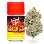 Jungle Boys | Flame N Hotz – 3.5g Flower