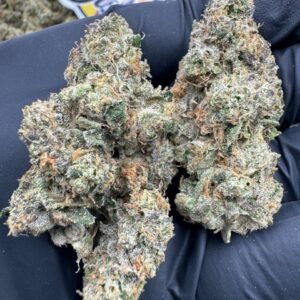 Sherbanger (Indoors Exotics) - Image 2