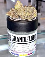 Buy Grandiflora strain 10% Off