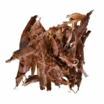 Mimosa hostilis – Inner root bark | Jurema Preta