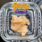 PAPAYA PUNCH 2