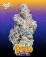PAPAYA PUNCH STRAIN