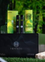 Hippies 2g disposable